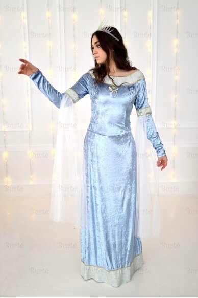 Viduramžių (Ledo karalienės) kostiumas 2